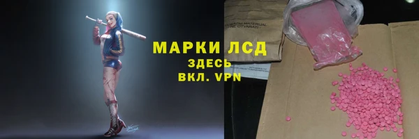 a pvp Дмитров