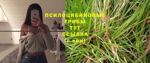 a pvp Дмитров