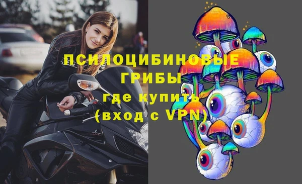 Альфа ПВП Дмитриев