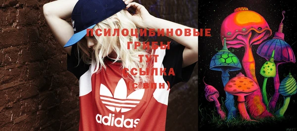 винт Дмитровск