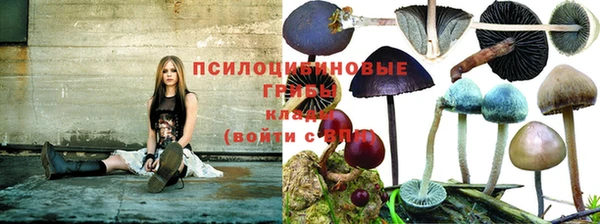Альфа ПВП Дмитриев
