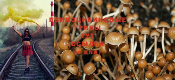 Альфа ПВП Дмитриев