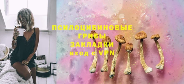 Альфа ПВП Дмитриев