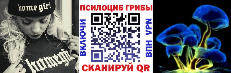 Галлюциногенные грибы Cubensis  купить наркотики цена  Ногинск 
